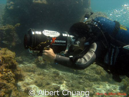 image courtesy of underwaterphotography.com photo contest - copyright Albert Chuang